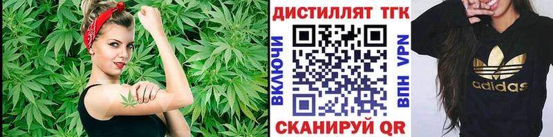 ТГК THC oil  Купить где  Новоаннинский 